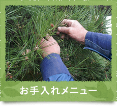 お手入れメニュー