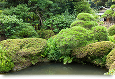 植栽管理例