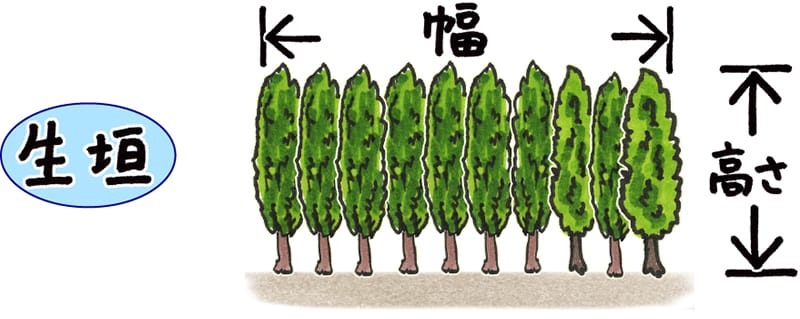 生け垣の幅と高さ
