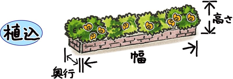 植え込みの幅と高さ